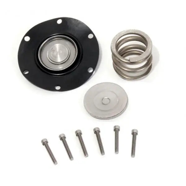 Ford Fuel Pressure Regulator Rebuild Kit