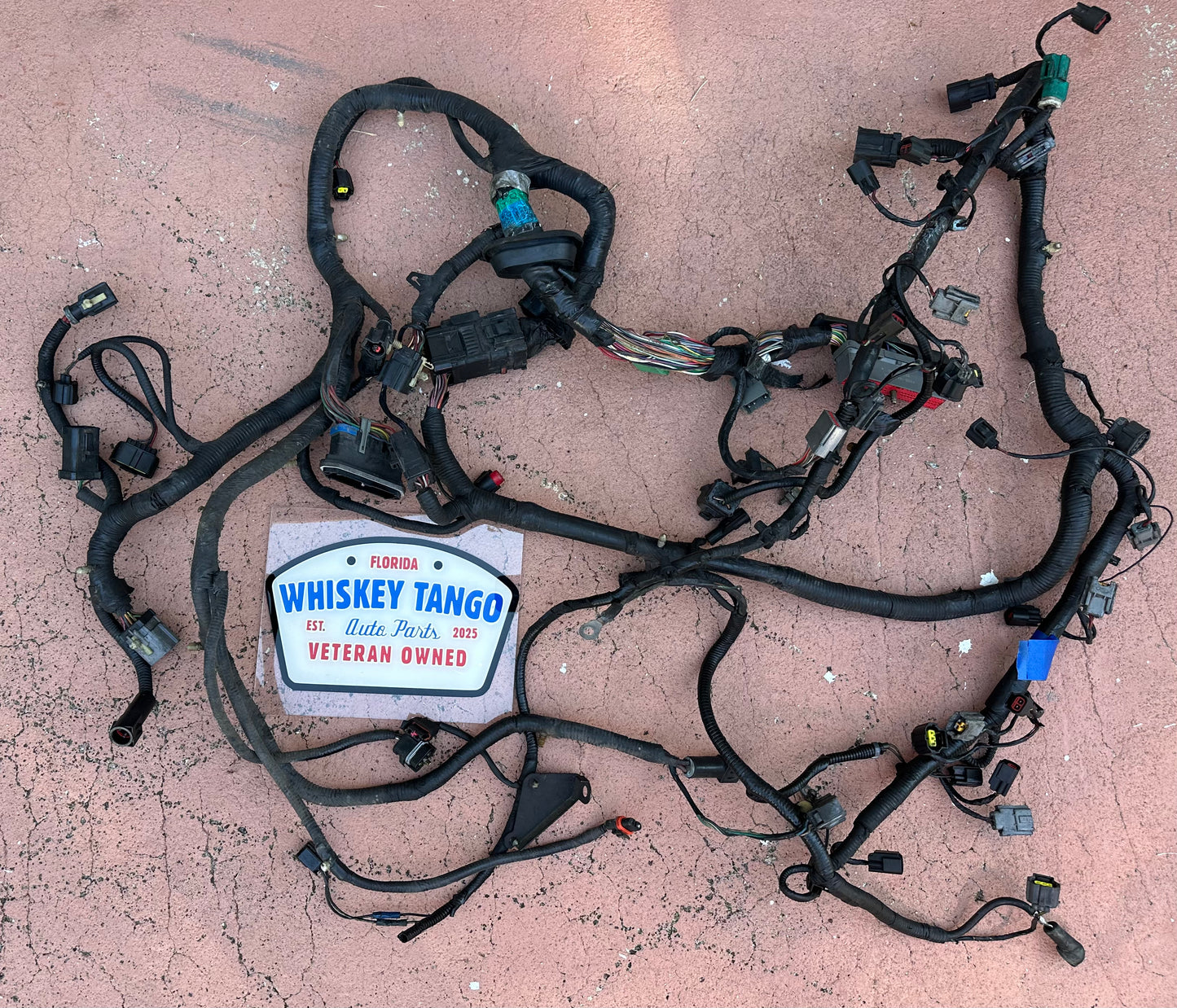 99-04 Ford Mustang Engine and ECU Harness OEM 1R33-12A581-CJF5SB-14A646-AA #01