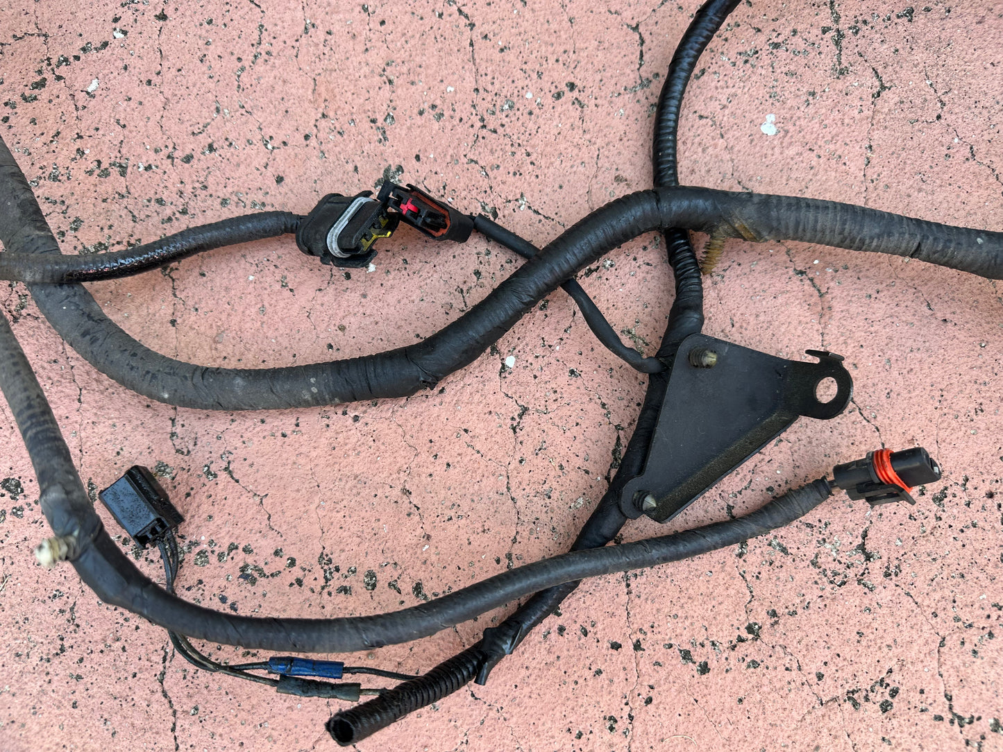 99-04 Ford Mustang Engine and ECU Harness OEM 1R33-12A581-CJF5SB-14A646-AA #01