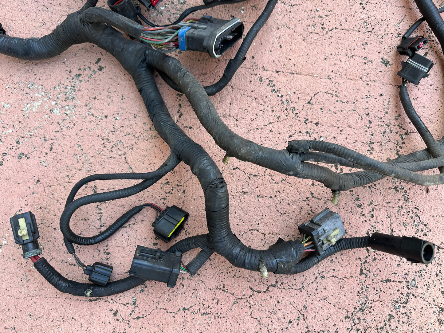 99-04 Ford Mustang Engine and ECU Harness OEM 1R33-12A581-CJF5SB-14A646-AA #01