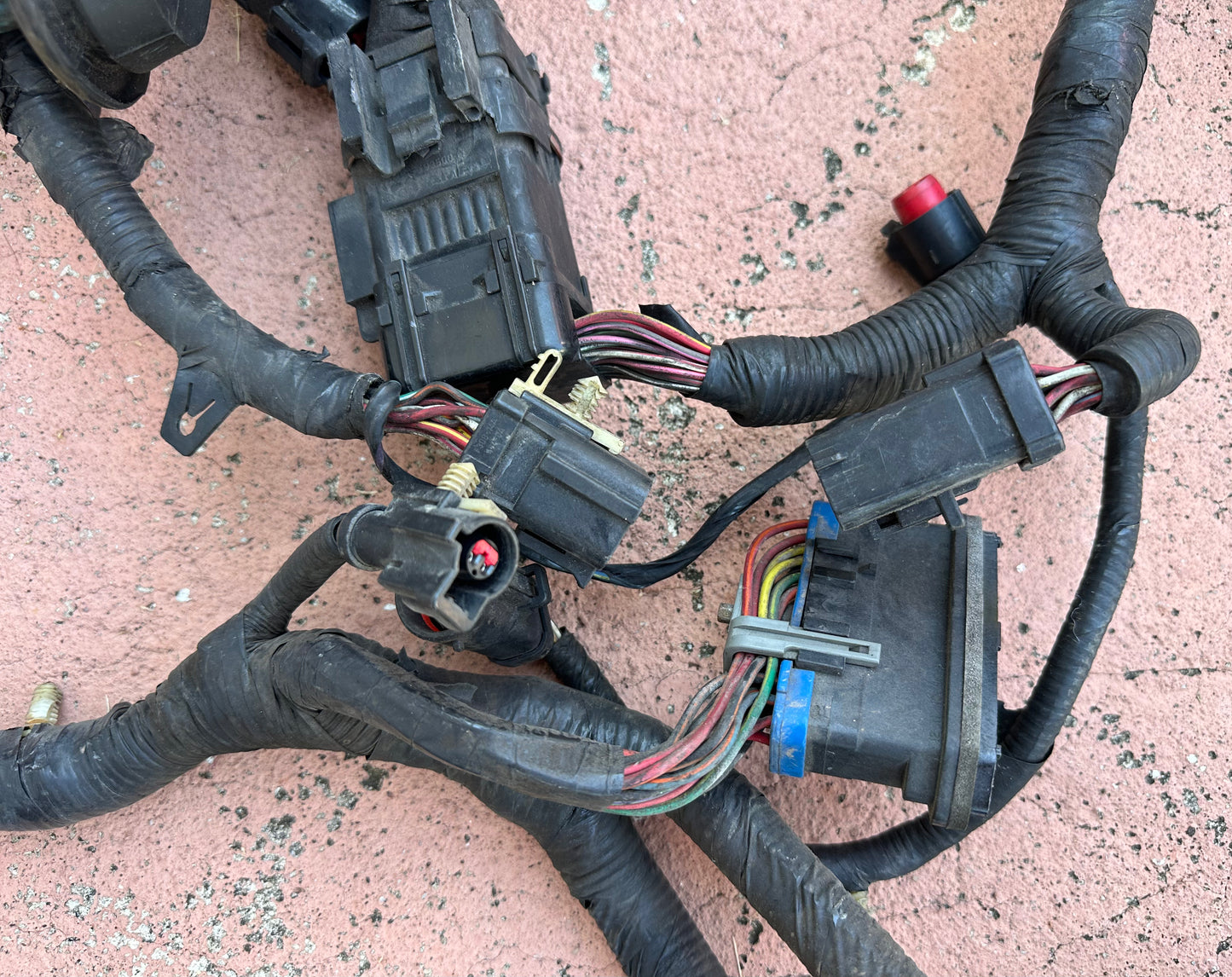 99-04 Ford Mustang Engine and ECU Harness OEM 1R33-12A581-CJF5SB-14A646-AA #01