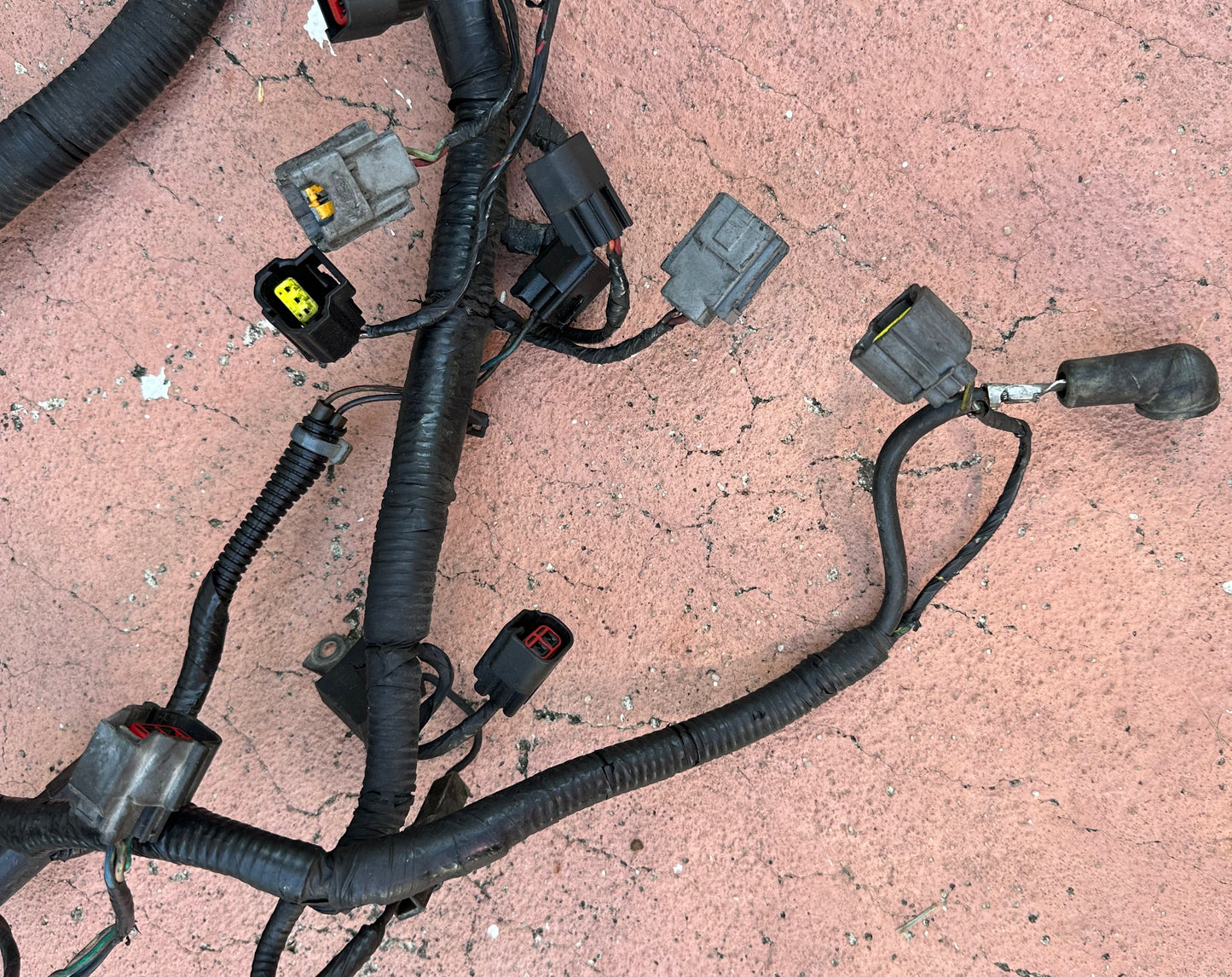 99-04 Ford Mustang Engine and ECU Harness OEM 1R33-12A581-CJF5SB-14A646-AA #01