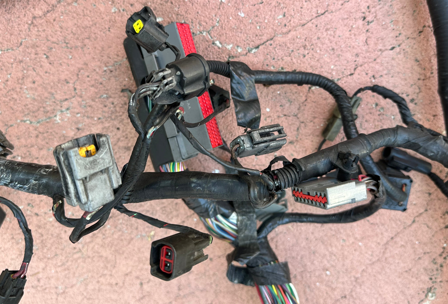 99-04 Ford Mustang Engine and ECU Harness OEM 1R33-12A581-CJF5SB-14A646-AA #01