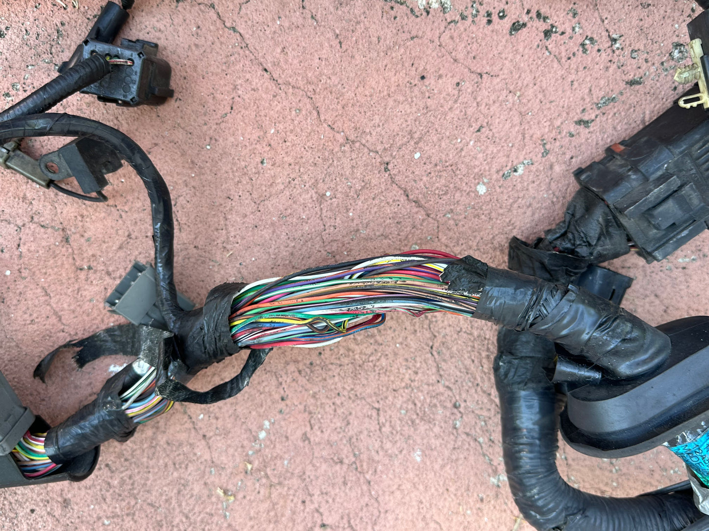 99-04 Ford Mustang Engine and ECU Harness OEM 1R33-12A581-CJF5SB-14A646-AA #01