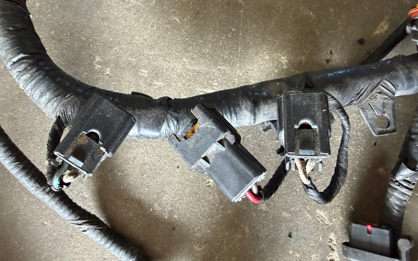 99-04 Ford Mustang Engine Harness OEM XR3T-14A484-CA, F2VB-14AA59-G #03