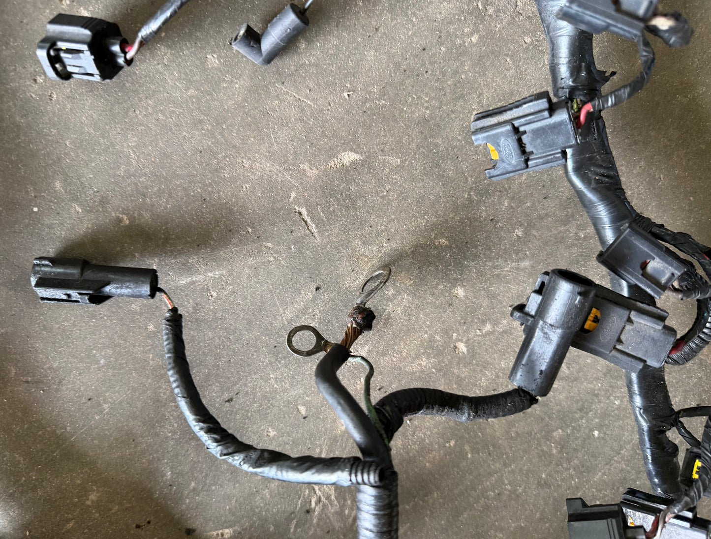 99-04 Ford Mustang Engine Harness OEM XR3T-14A484-CA, F2VB-14AA59-G #03
